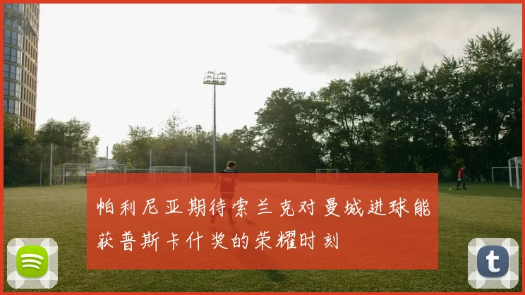 帕利尼亚期待索兰克对曼城进球能获普斯卡什奖的荣耀时刻